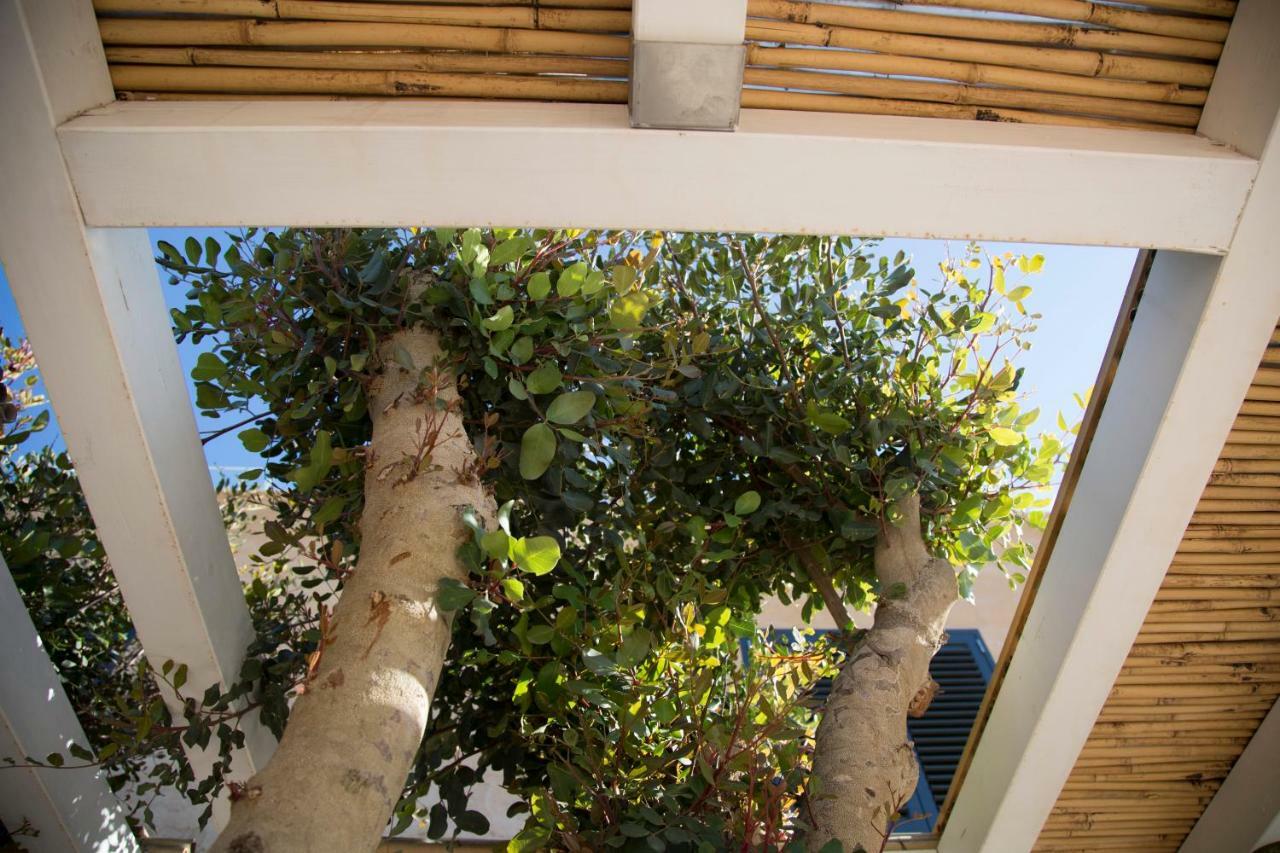 Le Suites Del Carrubo Favignana Buitenkant foto